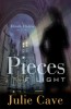 Pieces of Light by Julie Cave (Master Books) 2011